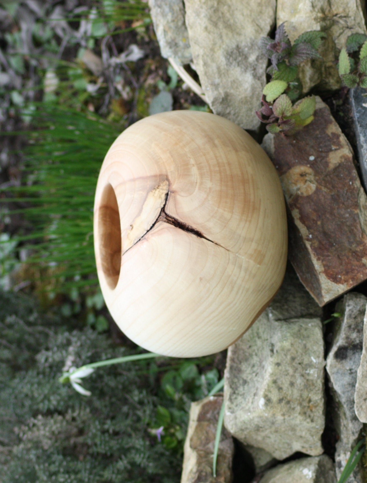 Vase/Hohlform aus Esche