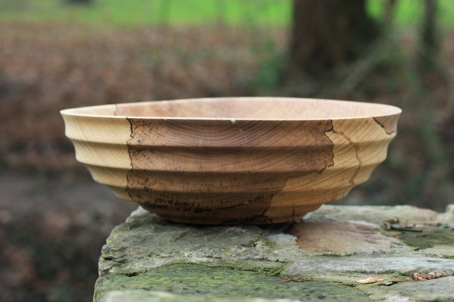 Design XXL-Holzschale