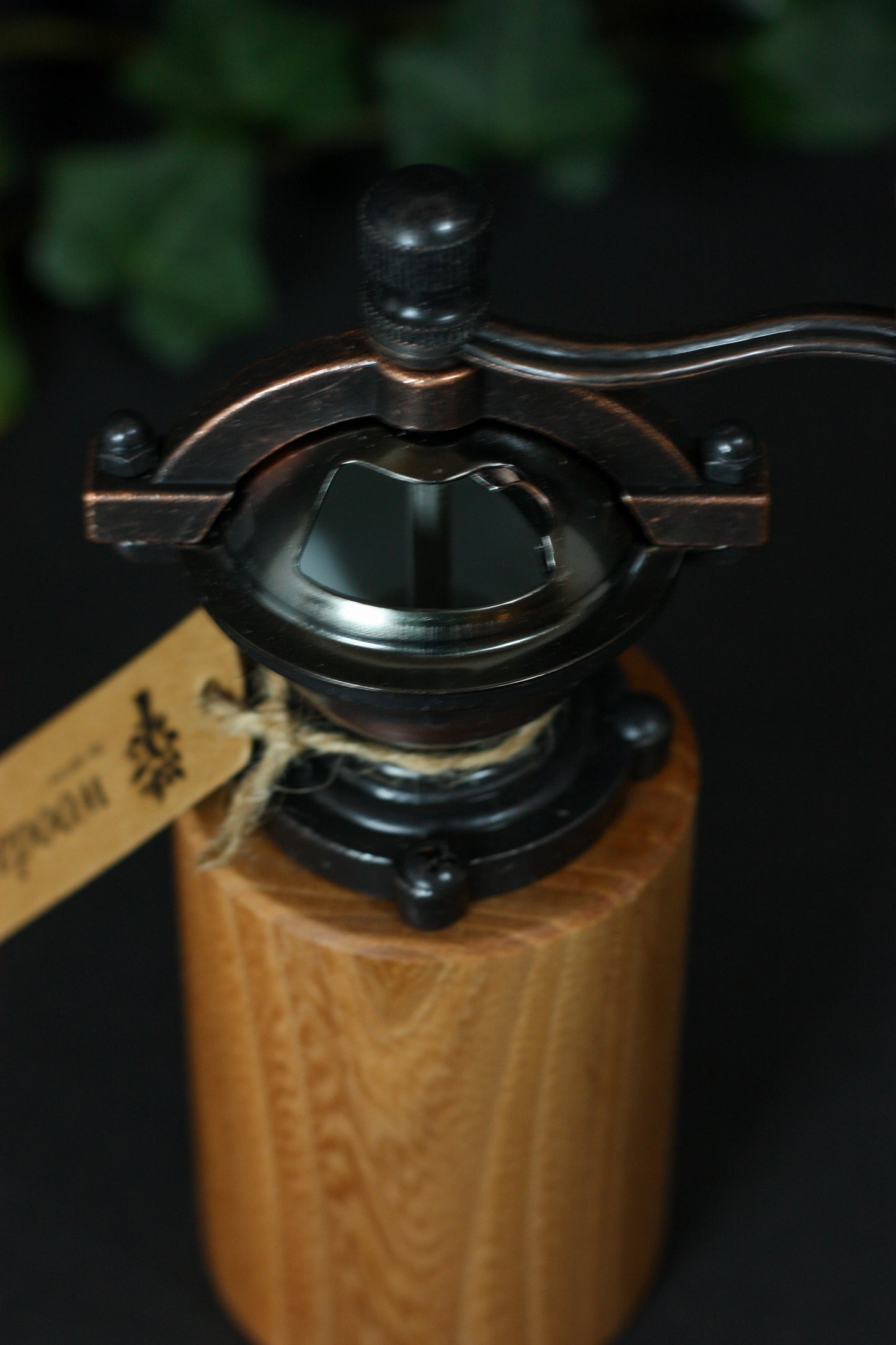 Salz- und Pfeffermühle aus Ulme/Rüster