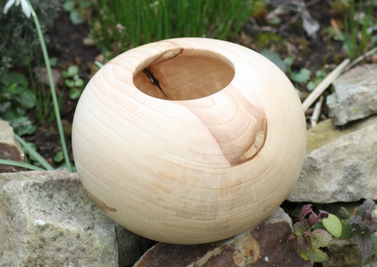 Vase/Hohlform aus Esche