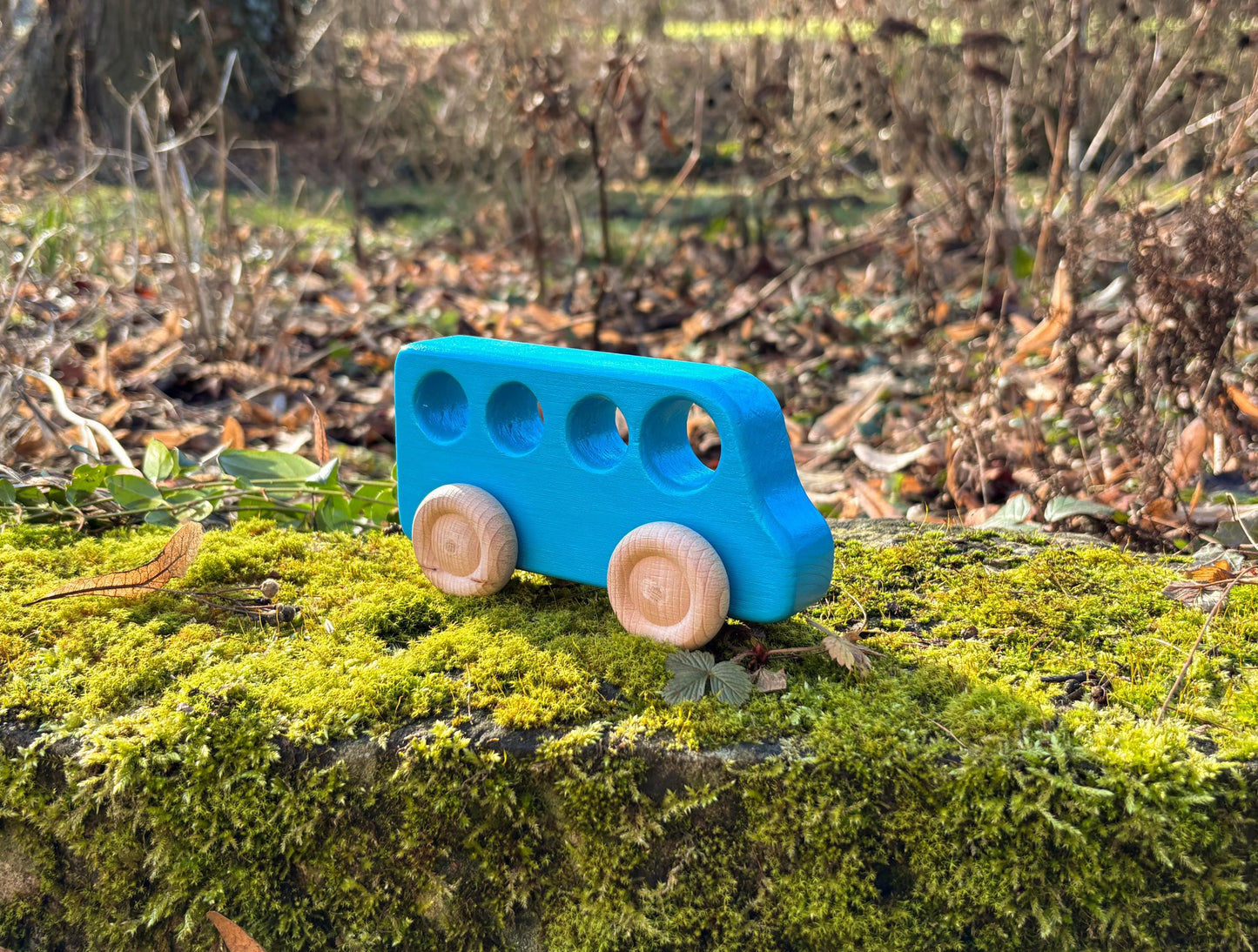 Holz-Bus Türkis